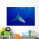 Diver Follows Oceanic Whitetip Wall Decal