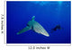 Diver Follows Oceanic Whitetip Wall Decal