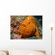 Large Orange Frogfish Cocos Wall Decal