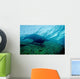 Sea Lion Cabo Pulmo Wall Decal