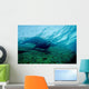 Sea Lion Cabo Pulmo Wall Decal