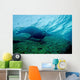 Sea Lion Cabo Pulmo Wall Decal