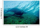 Sea Lion Cabo Pulmo Wall Decal