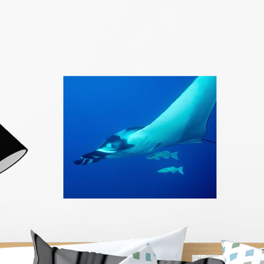 Giant Oceanic Manta Ray Wall Decal