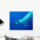 Giant Oceanic Manta Ray Wall Decal