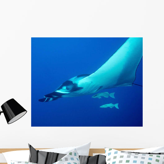 Giant Oceanic Manta Ray Wall Decal