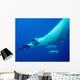 Giant Oceanic Manta Ray Wall Decal