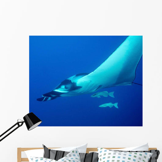 Giant Oceanic Manta Ray Wall Decal