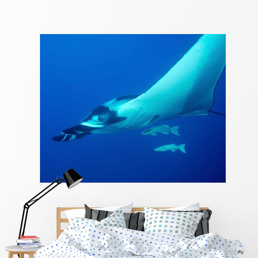 Giant Oceanic Manta Ray Wall Decal