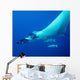 Giant Oceanic Manta Ray Wall Decal