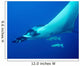 Giant Oceanic Manta Ray Wall Decal