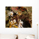 Spider Crab Sulawesi Indonesia Wall Decal