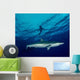 Silky Shark Cat Island Wall Decal