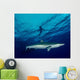 Silky Shark Cat Island Wall Decal