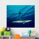 Silky Shark Cat Island Wall Decal