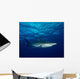 Silky Shark with Embedded Wall Decal