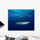 Silky Shark with Embedded Wall Decal