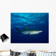 Silky Shark with Embedded Wall Decal