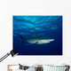 Silky Shark with Embedded Wall Decal