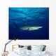Silky Shark with Embedded Wall Decal