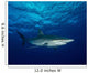Silky Shark with Embedded Wall Decal