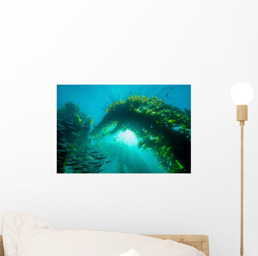 Sunburst through Giant Kelp Wall Decal