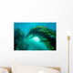 Sunburst through Giant Kelp Wall Decal