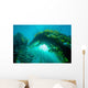 Sunburst through Giant Kelp Wall Decal