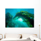 Sunburst through Giant Kelp Wall Decal