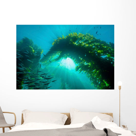 Sunburst through Giant Kelp Wall Decal