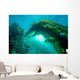 Sunburst through Giant Kelp Wall Decal
