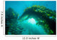 Sunburst through Giant Kelp Wall Decal