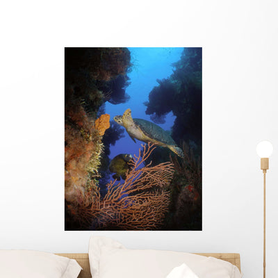 Hawksbill Sea Turtle and Wall Decal Design 1 shown on a wall