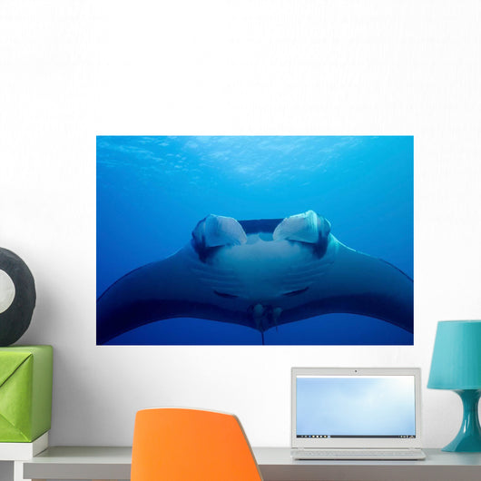 Approaching Oceanic Manta Ray Wall Decal