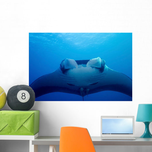 Approaching Oceanic Manta Ray Wall Decal