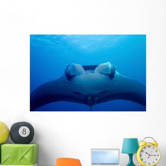 Approaching Oceanic Manta Ray Wall Decal