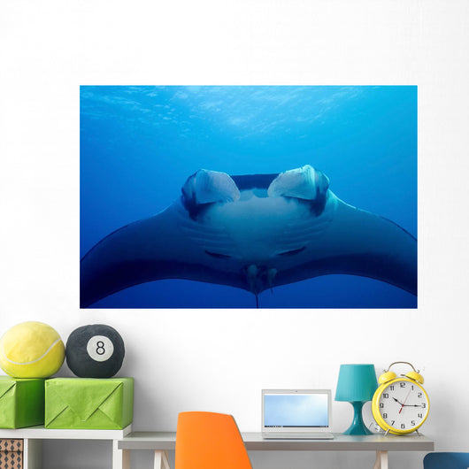 Approaching Oceanic Manta Ray Wall Decal