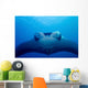Approaching Oceanic Manta Ray Wall Decal