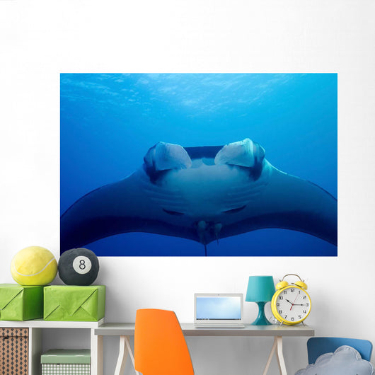 Approaching Oceanic Manta Ray Wall Decal