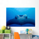 Approaching Oceanic Manta Ray Wall Decal