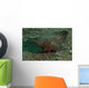 Spiny Waspfish Sulawesi Indonesia Wall Decal