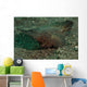 Spiny Waspfish Sulawesi Indonesia Wall Decal