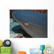 Head Whitetip Reef Shark Wall Decal