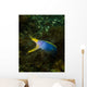 Ribbon Eel Rhinomuraena Quaesita Wall Decal