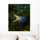 Ribbon Eel Rhinomuraena Quaesita Wall Decal