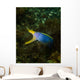 Ribbon Eel Rhinomuraena Quaesita Wall Decal