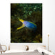 Ribbon Eel Rhinomuraena Quaesita Wall Decal