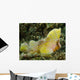 Yellow Colored Spiny Waspfish Wall Decal