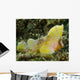 Yellow Colored Spiny Waspfish Wall Decal