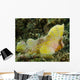 Yellow Colored Spiny Waspfish Wall Decal